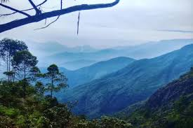 Green Valley View Kodaikanal